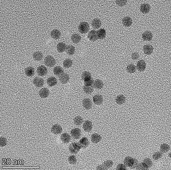 High magnification TEM image highlighting the smooth, spherical morphology of individual 5 nm gold nanoparticles.
