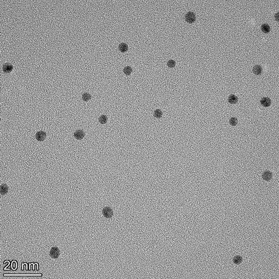 TEM image of a monolayer of 5 nm gold nanospheres used for size measurement and particle counting