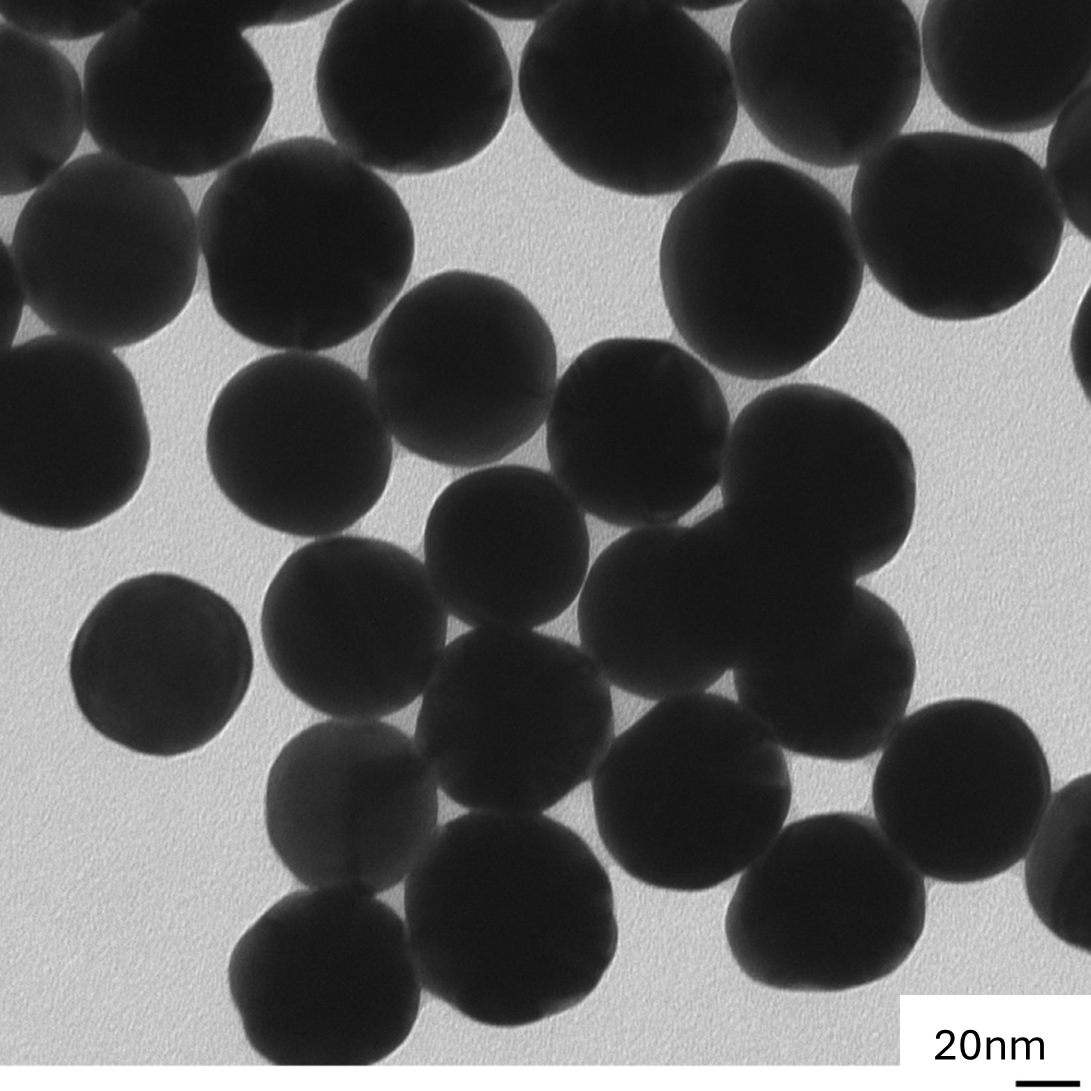  60 nm citrate coated spherical gold nanoparticles in stable colloidal suspension.
