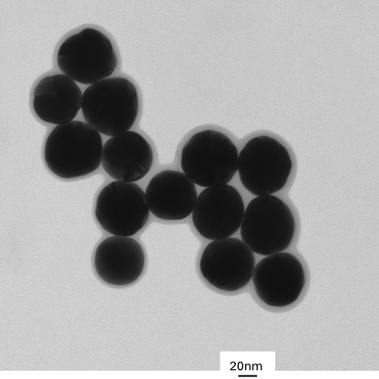 TEM overview of 60 nm gold nanospheres showing homogeneous dispersion and consistent particle size.

