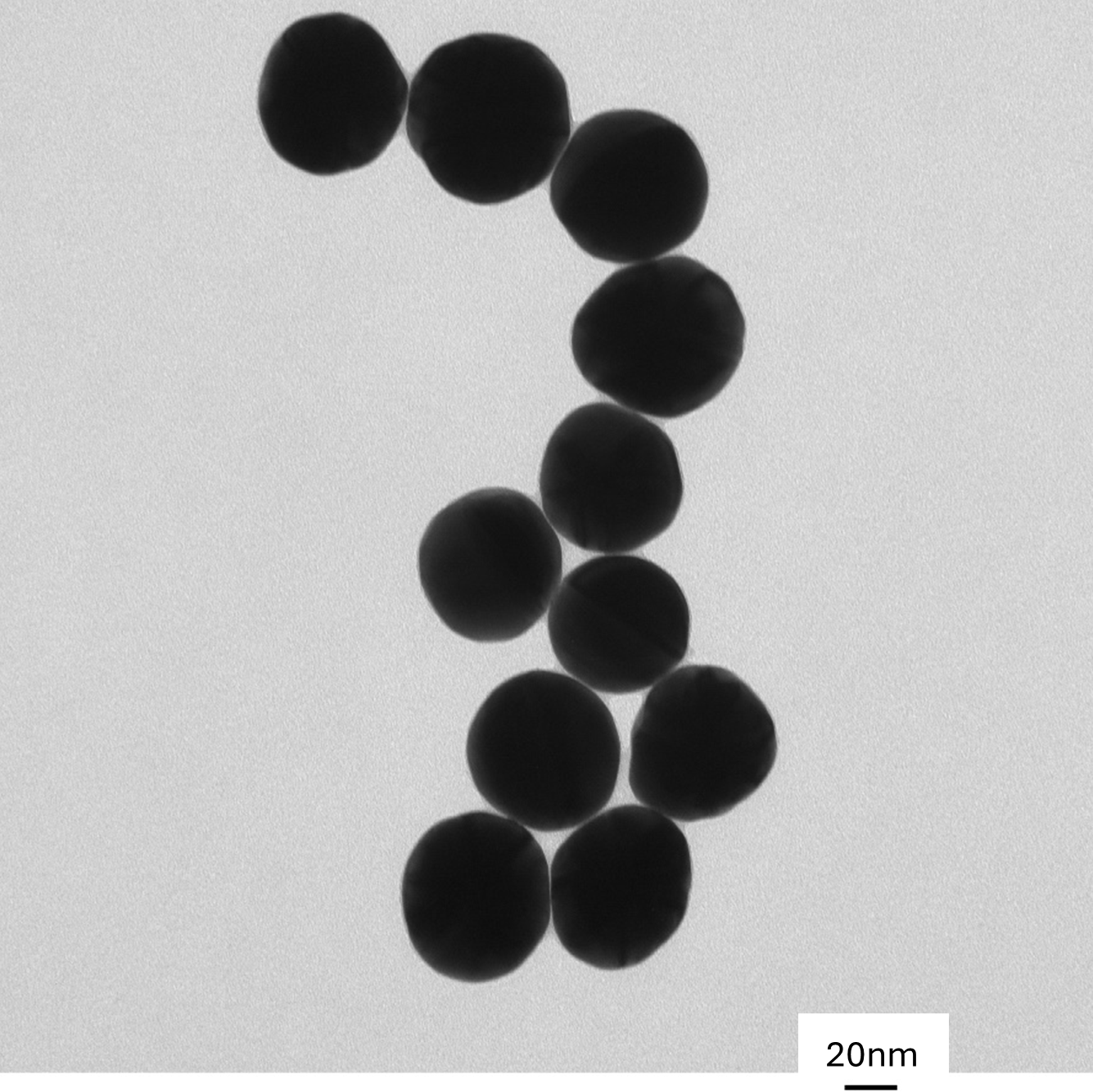 TEM image of a monolayer of 60 nm gold nanospheres used for size measurement and particle counting.

