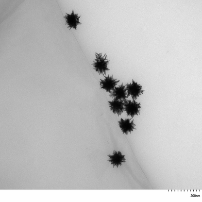 TEM image confirming absence of aggregates in the 60 nm gold nanostars sample, particles well separated on the grid.

