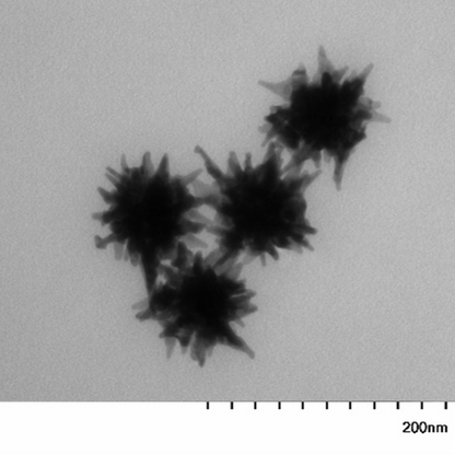 High magnification TEM image highlighting the branchy morphology of individual 60 nm gold nanostars.

