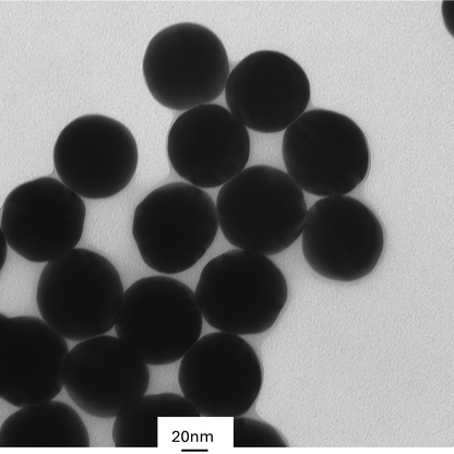 High magnification TEM image highlighting the smooth, spherical morphology of individual 70 nm gold nanoparticles.

