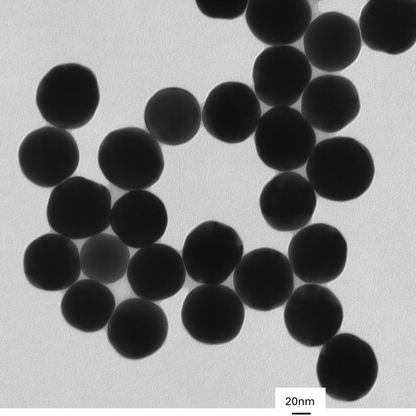 TEM overview of 70 nm gold nanospheres showing homogeneous dispersion and consistent particle size.

