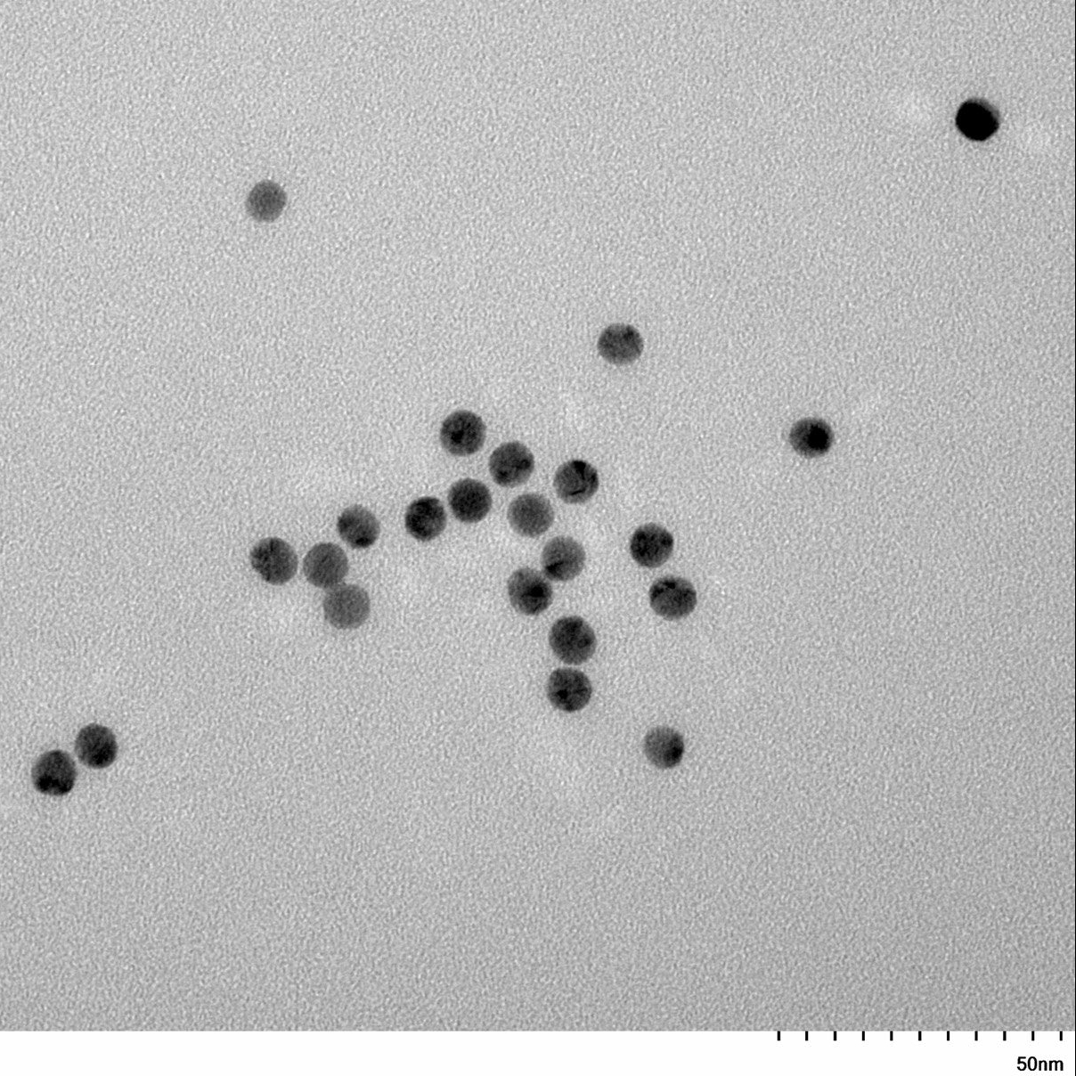 7 nm citrate coated spherical gold nanoparticles in stable colloidal suspension.
