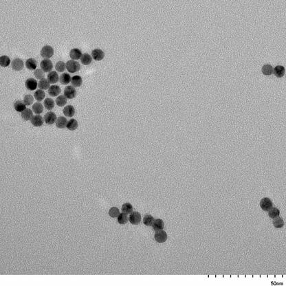 TEM overview of 7 nm gold nanospheres showing homogeneous dispersion and consistent particle size.
