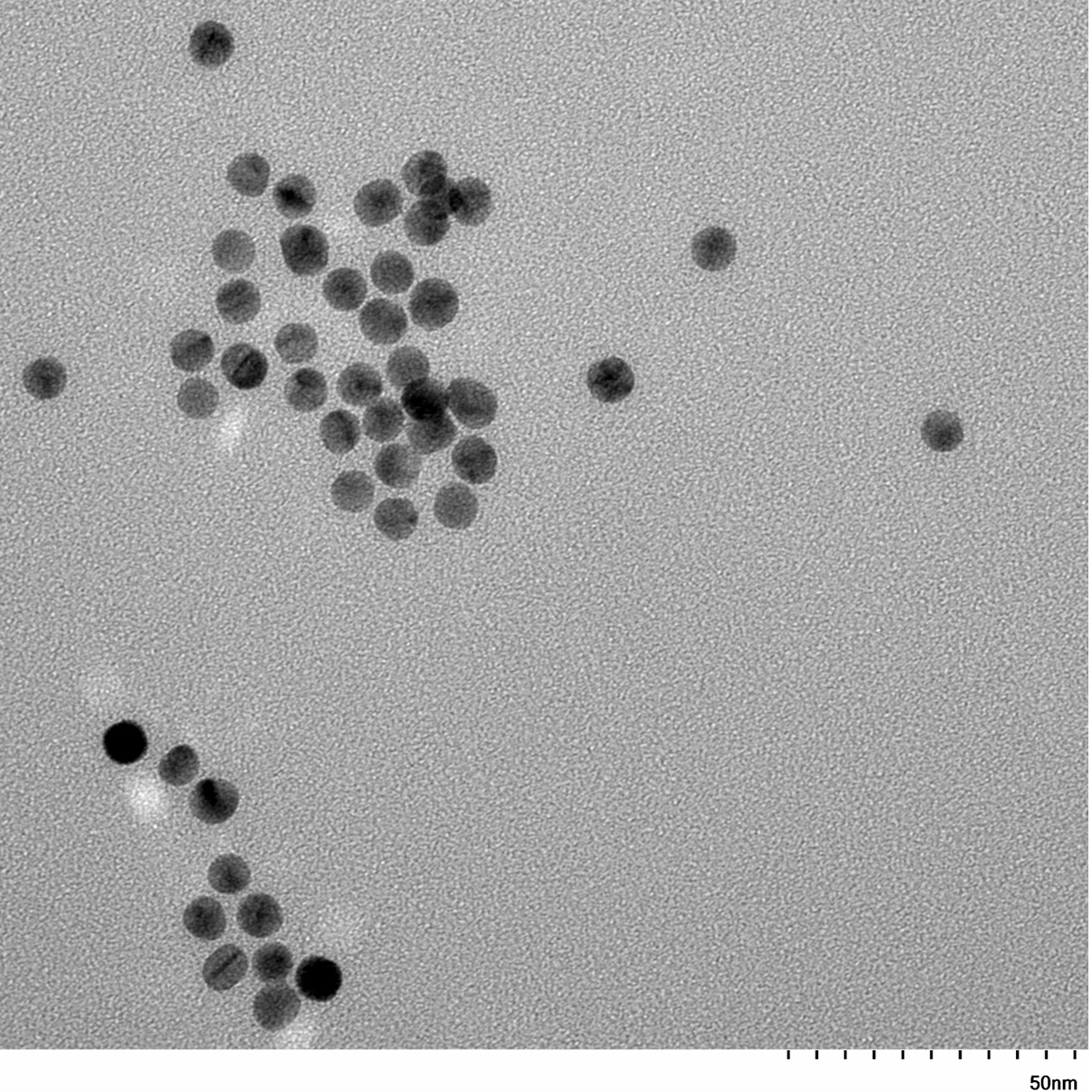 TEM image of a monolayer of 7 nm gold nanospheres used for size measurement and particle counting.

