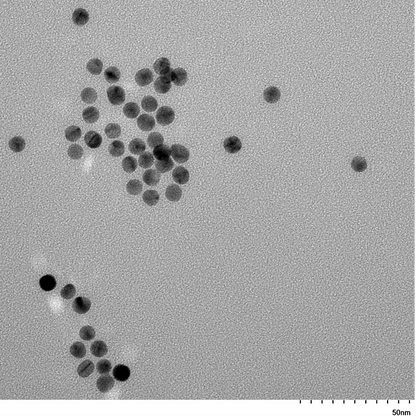 TEM image of a monolayer of 7 nm gold nanospheres used for size measurement and particle counting.
