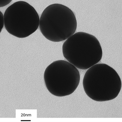 High magnification TEM image highlighting the smooth, spherical morphology of individual PEG-coated 80 nm gold nanoparticles.
