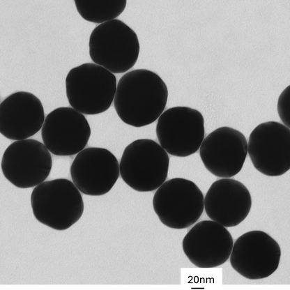 TEM image confirming absence of aggregates in the 80 nm gold nanoparticle sample, particles well separated on the grid.