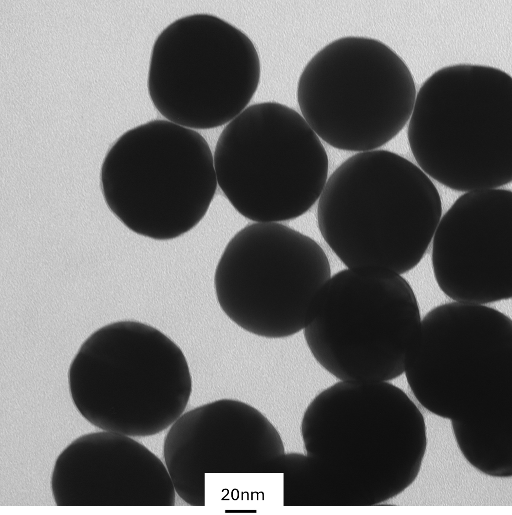High magnification TEM image highlighting the smooth, spherical morphology of individual 80 nm gold nanoparticles.