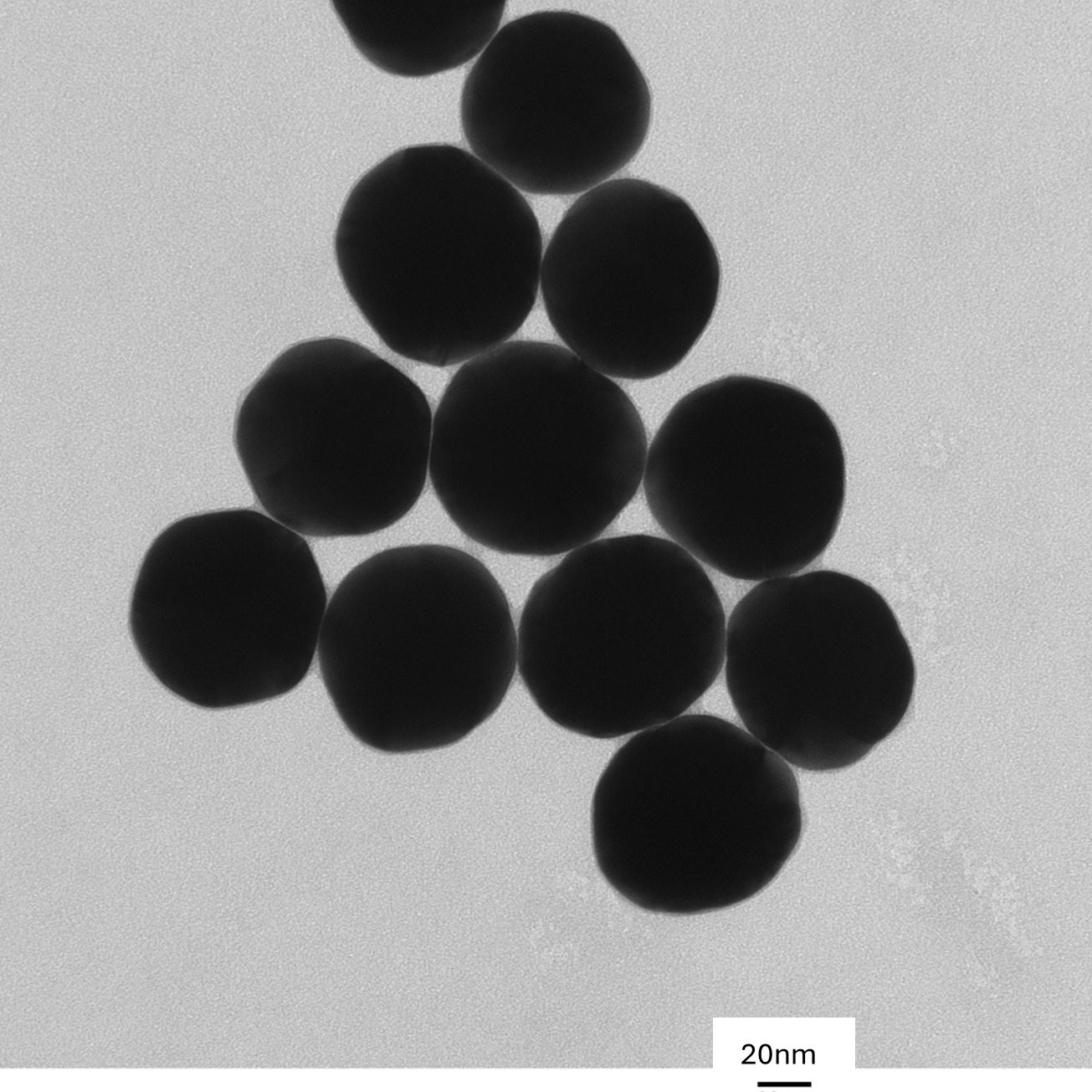 TEM overview of 80 nm gold nanospheres showing homogeneous dispersion and consistent particle size.