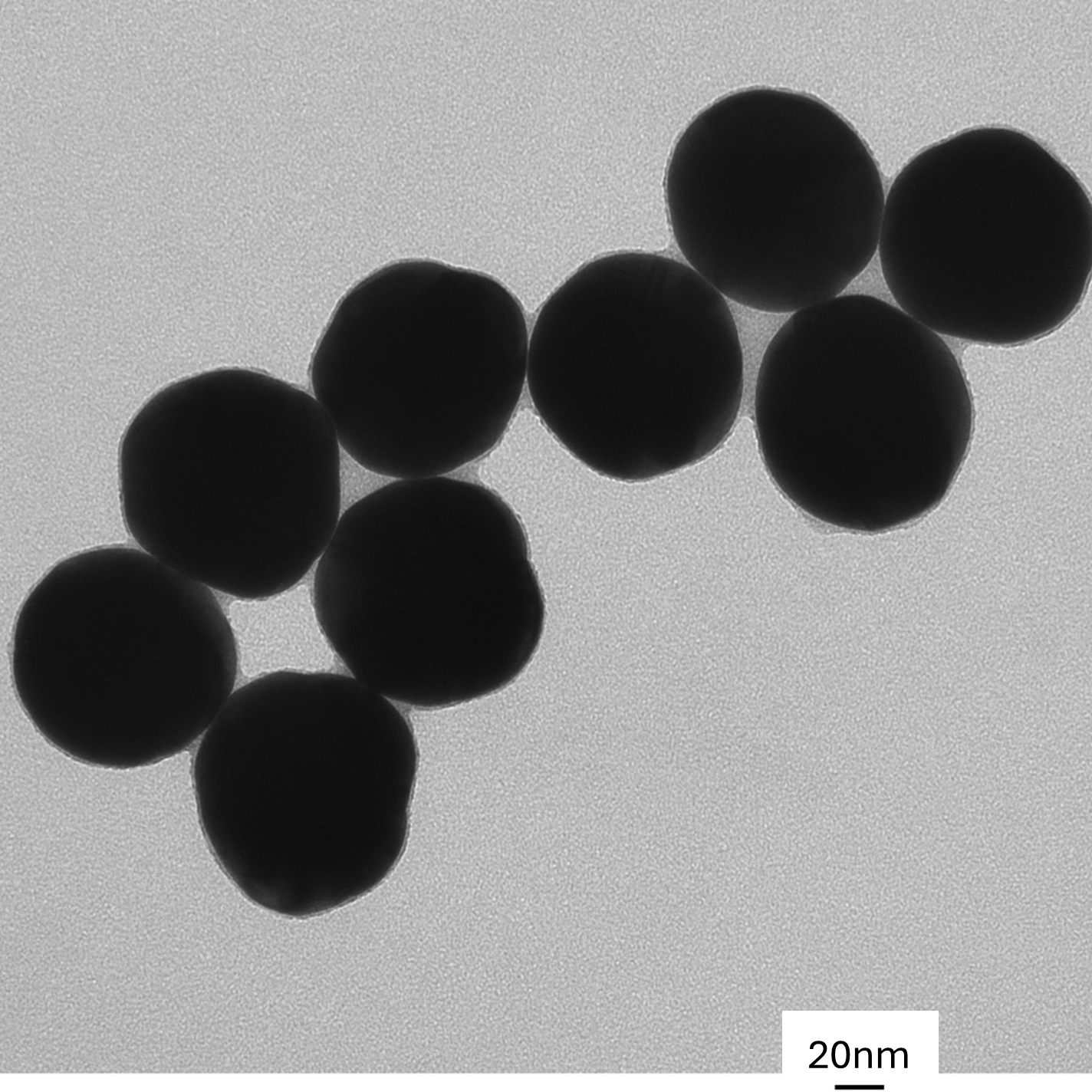 High magnification TEM image highlighting the smooth, spherical morphology of individual 90 nm gold nanoparticles.