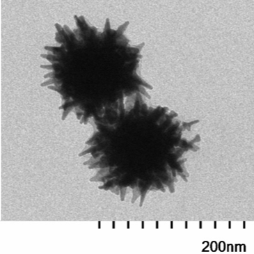 90 nm gold nanostars in stable colloidal suspension.

