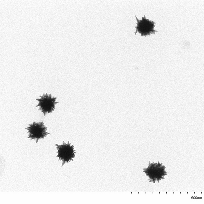 TEM image confirming absence of aggregates in the 90 nm gold nanostars sample, particles well separated on the grid.

