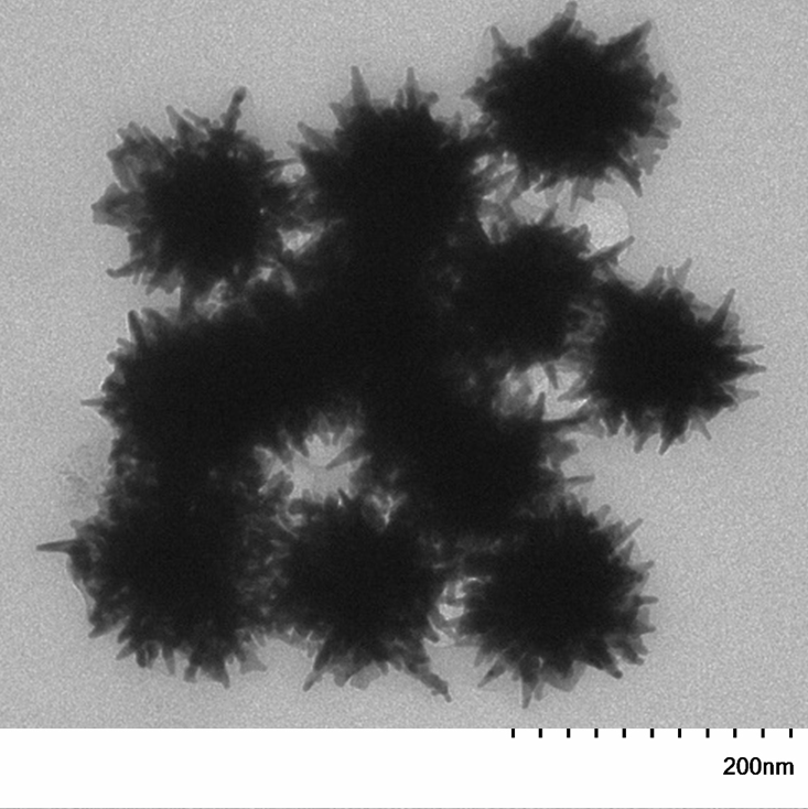 High magnification TEM image highlighting the brunchy morphology of individual 90 nm gold nanostars.

