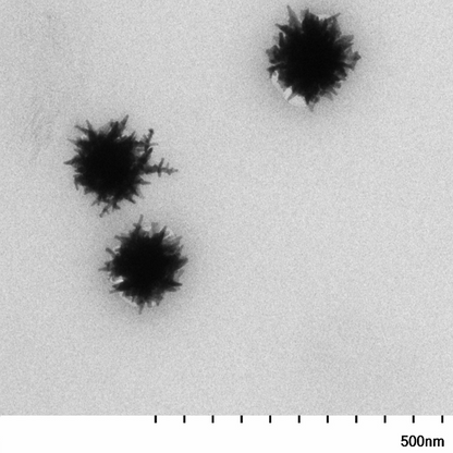 TEM overview of 90 nm gold nanostars showing homogeneous dispersion and consistent particle size.


