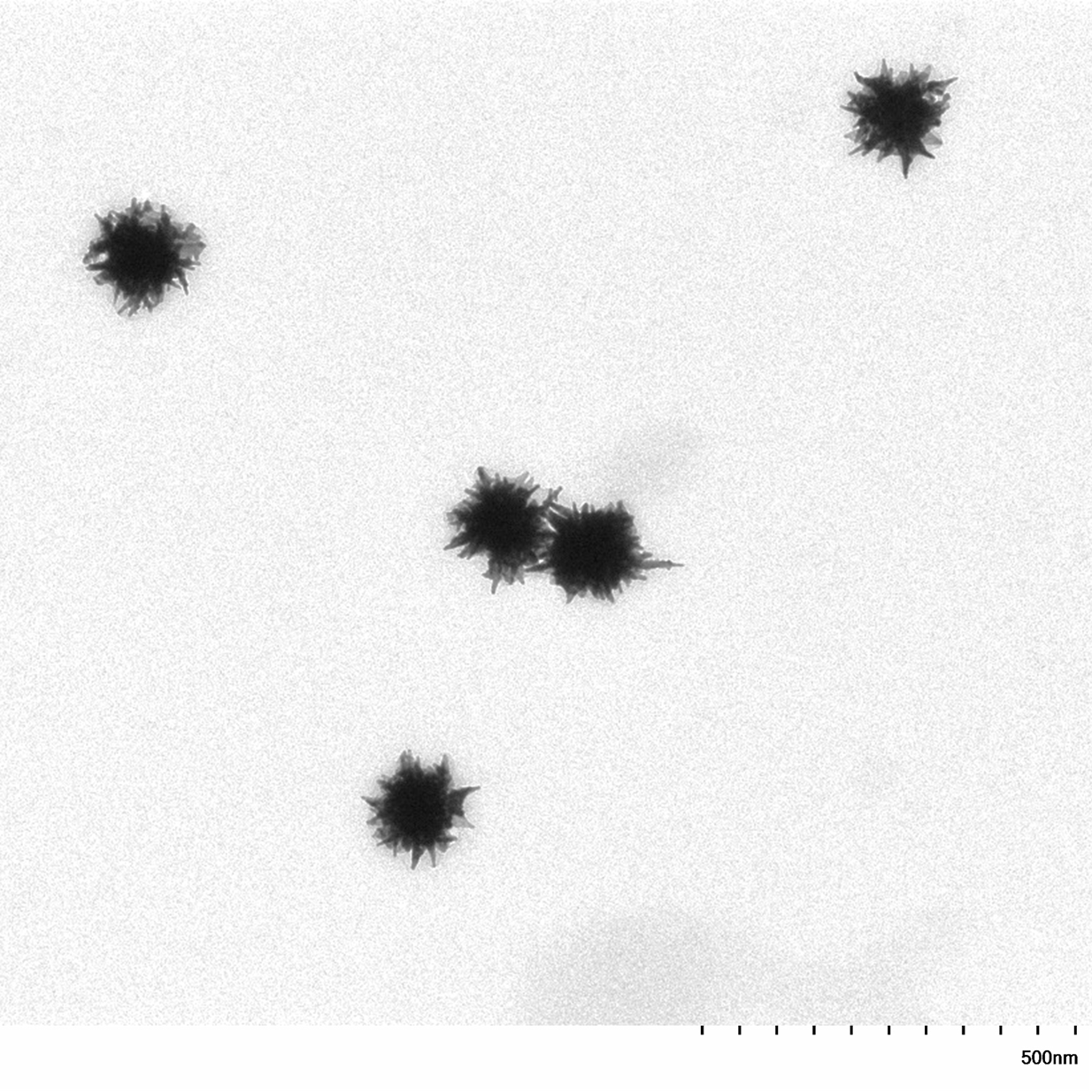TEM image of a monolayer of 90 nm gold nanostars used for size measurement and particle counting.

