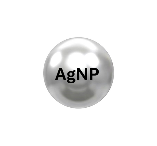 Schematic representation of a silver nanoparticle AgNP