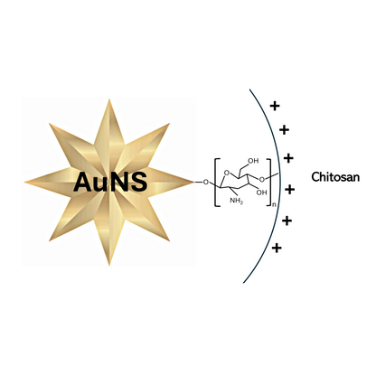 Schematics of a gold nanostar with chitosan molecule forming a surface coating.