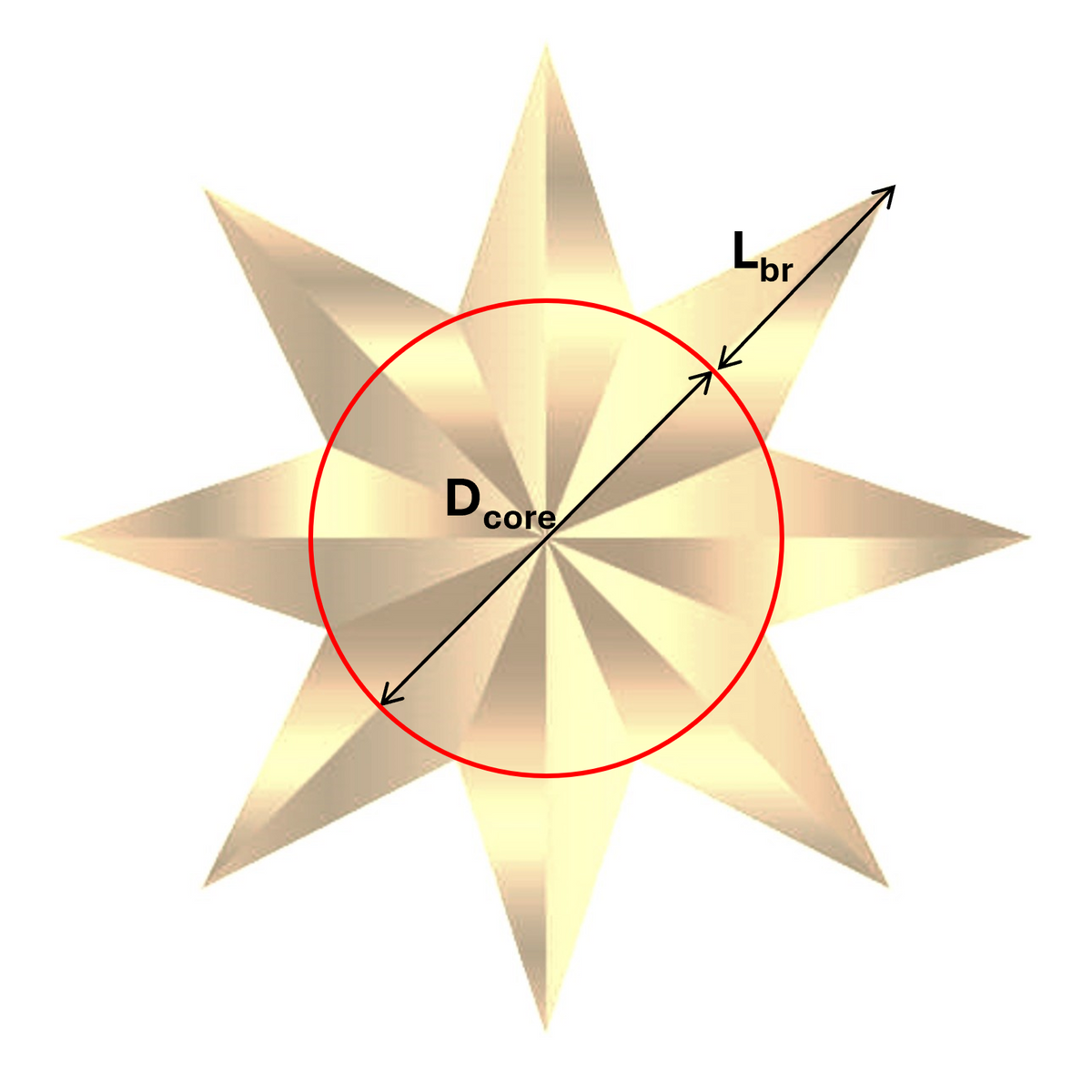 Representation of gold nanostars core diameter and branches length