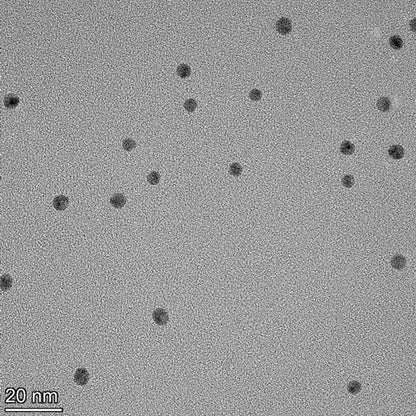 5 nm gold nanoparticles spherical AuNPs citrate surface TEM image monodisperse colloidal gold  NanoBrand