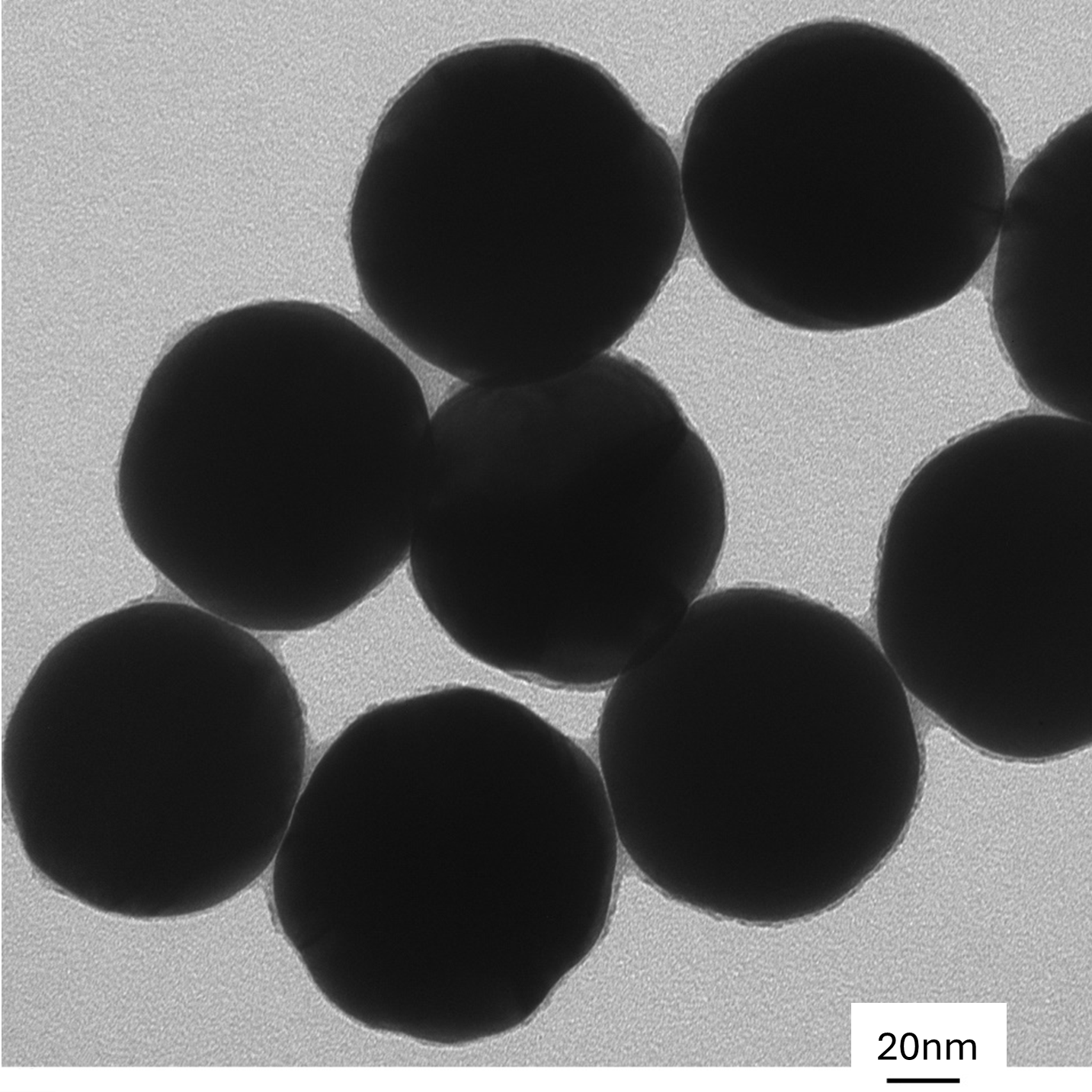 90nm gold nanoparticles spherical AuNPs citrate surface TEM image monodisperse colloidal gold  NanoBrand