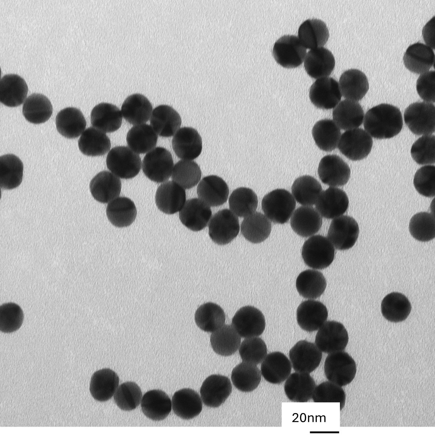 20 nm gold nanoparticles spherical AuNPs citrate surface TEM image monodisperse colloidal gold NanoBrand 