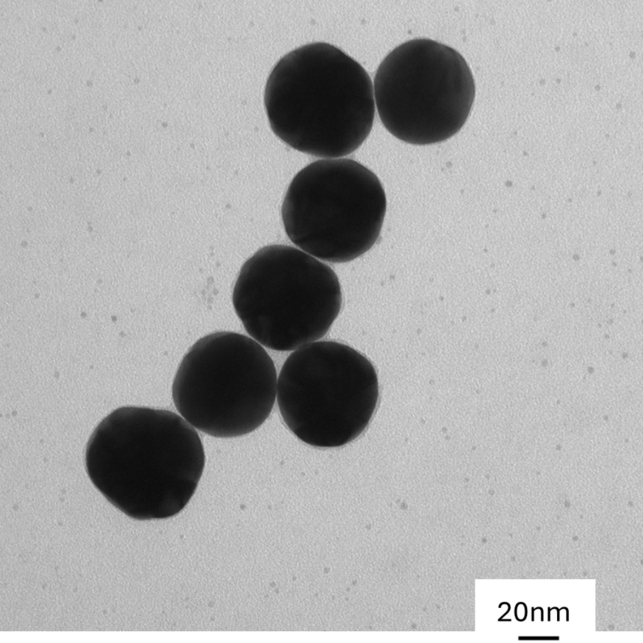 50 nm gold nanoparticles spherical AuNPs citrate surface TEM image monodisperse colloidal gold NanoBrand 