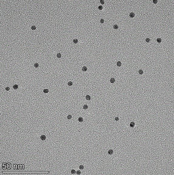 5 nm gold nanoparticles spherical AuNPs citrate surface TEM image monodisperse colloidal gold  NanoBrand