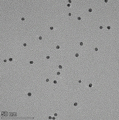 5 nm gold nanoparticles spherical AuNPs citrate surface TEM image monodisperse colloidal gold  NanoBrand