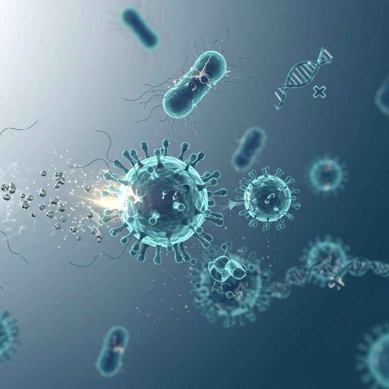 Representation of antimicrobial coatings using silver nanoparticles
